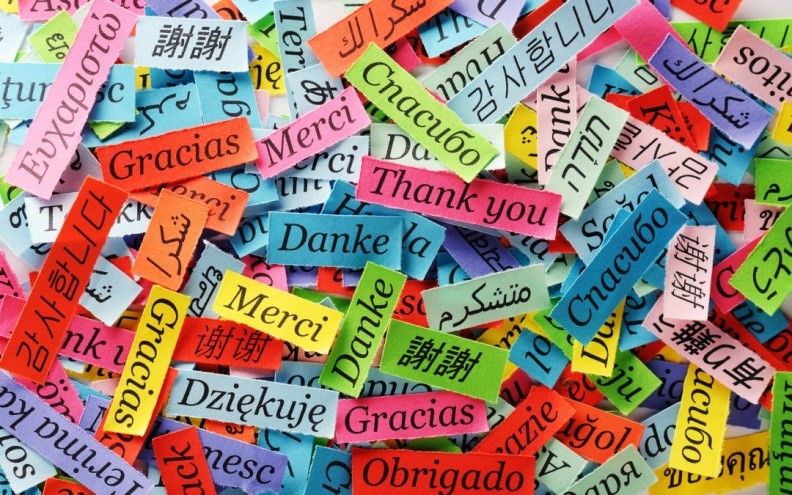Erasmus e il valore del multilinguismo